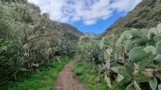 2024-01-GranCan-Barranco_de_los_Cernicalos-011.jpg